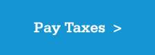 pay taxes online